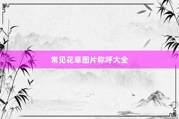 常见花草图片称呼大全